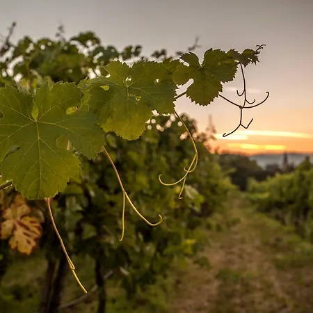 Hotel Weinquadrat - Boutique