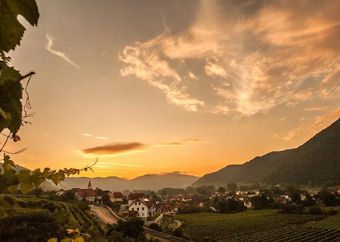 Weinquadrat - Boutique